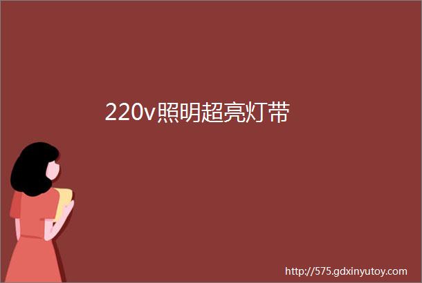 220v照明超亮灯带